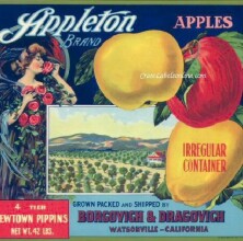 Advertising Posters