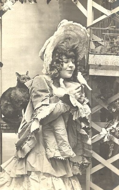victorian-fashion-1905bonnetgirl-bird-cat