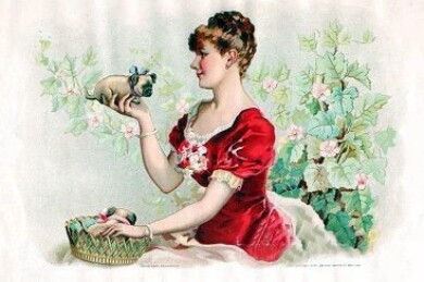 vintage-posters-signs-labels-adverts-4148