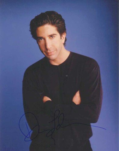 DAVID-SCHWIMMER-Autograph