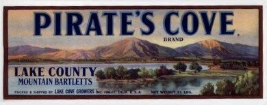 vintage-posters-signs-labels-adverts-3278