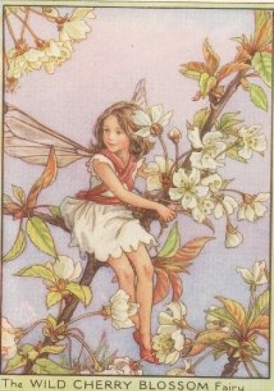 Vintage-Flower-Fairies146