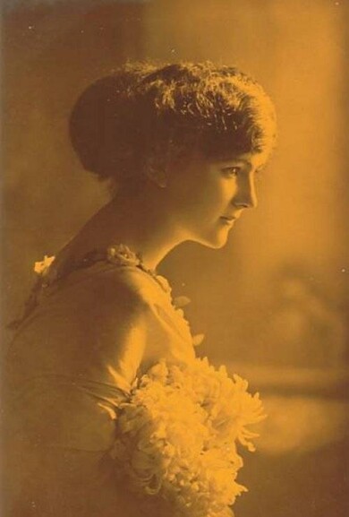 victorian-fashion-1910tint-profile