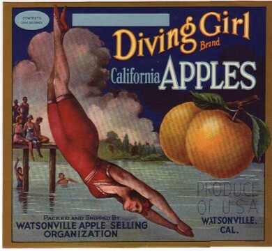 vintage-posters-signs-labels-adverts-3432
