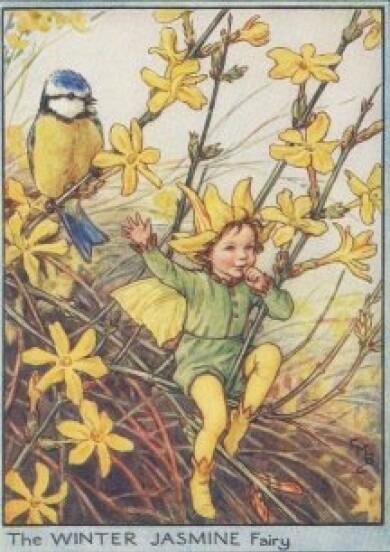 Vintage-Flower-Fairies151