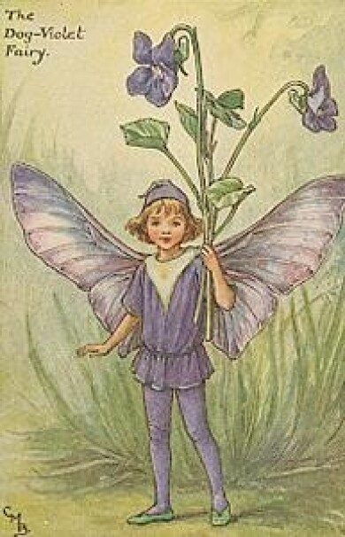Vintage-Flower-Fairies035