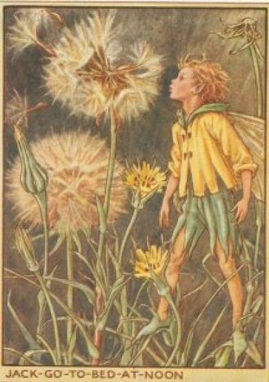 Vintage-Flower-Fairies067