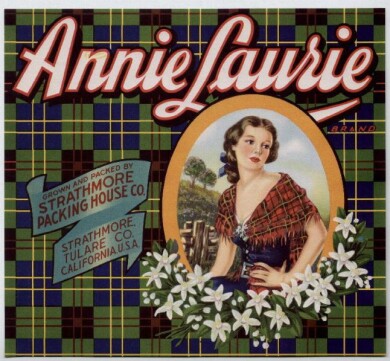 vintage-posters-signs-labels-adverts-1026