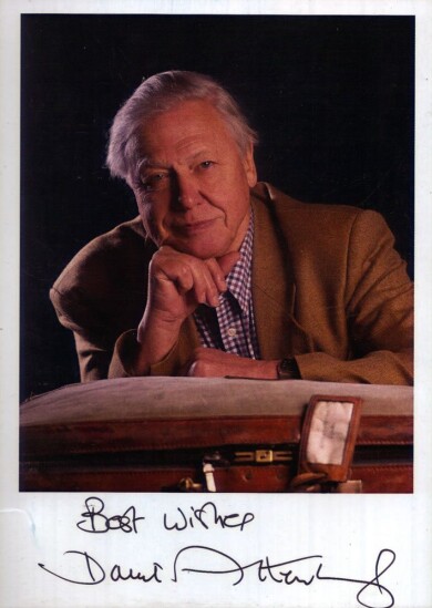 DAVID-ATTENBOROUGH-Autograph