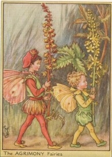 Vintage-Flower-Fairies002