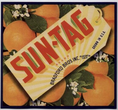 vintage-posters-signs-labels-adverts-2313