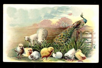 VINT_EASTER_434
