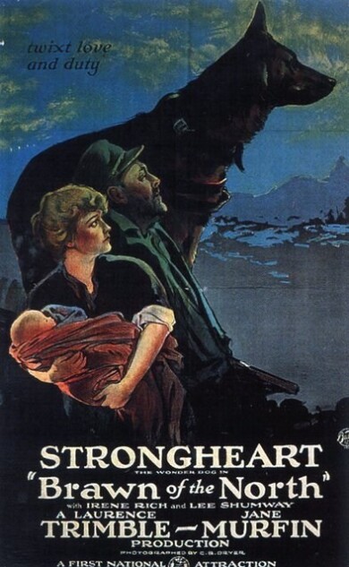 Brawn-of-the-North-1922-1A3-movie-poster