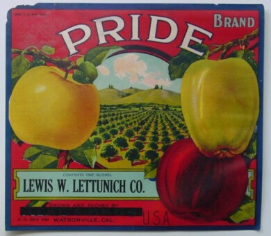vintage-posters-signs-labels-adverts-2415