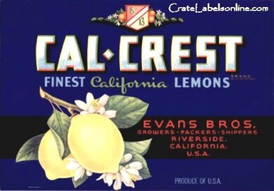 vintage-posters-signs-labels-adverts-3137