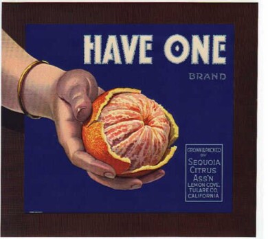 vintage-posters-signs-labels-adverts-4316