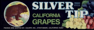 vintage-posters-signs-labels-adverts-4308