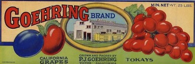 vintage-posters-signs-labels-adverts-2756