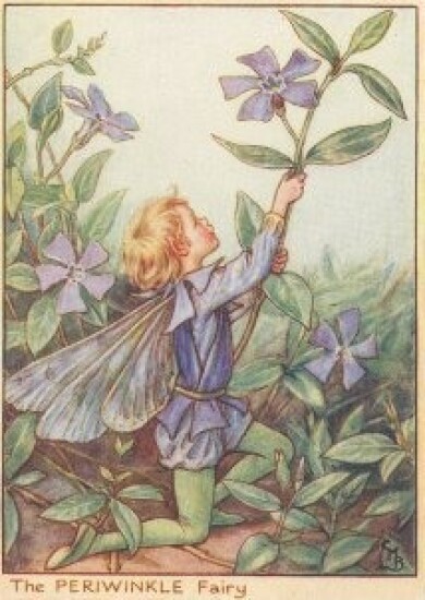 Vintage-Flower-Fairies090