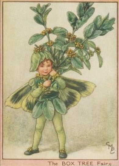 Vintage-Flower-Fairies014