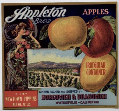 vintage-posters-signs-labels-adverts-1289