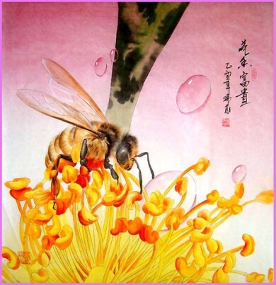 China543