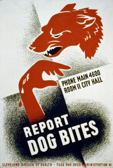 3272D33500000578-0-image-a-72_1458651624173