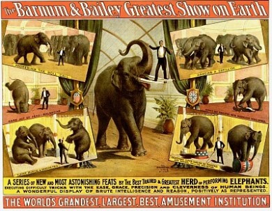 Vintage_Circus_Posters_Barnum__Bailey_Intelligent_Herd_of_Elephants