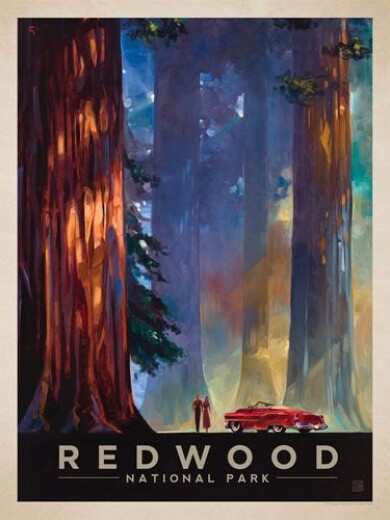 e707ed58da211697a49be2c5b14f6ffe