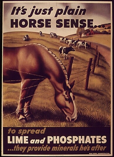 1130-war-poster