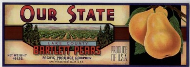 vintage-posters-signs-labels-adverts-3505