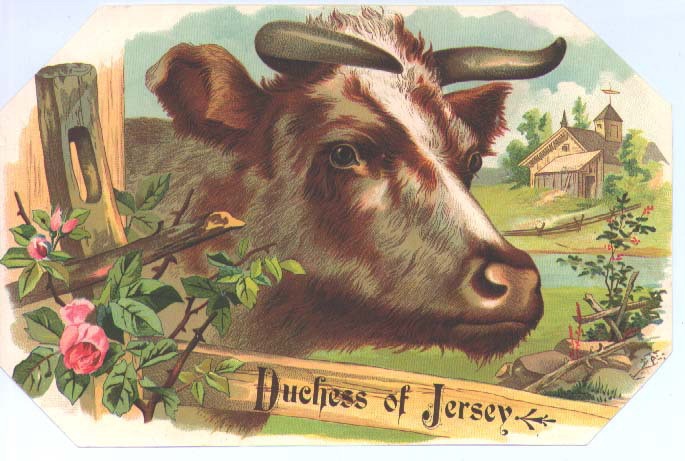 vintage-posters-signs-labels-adverts-1613