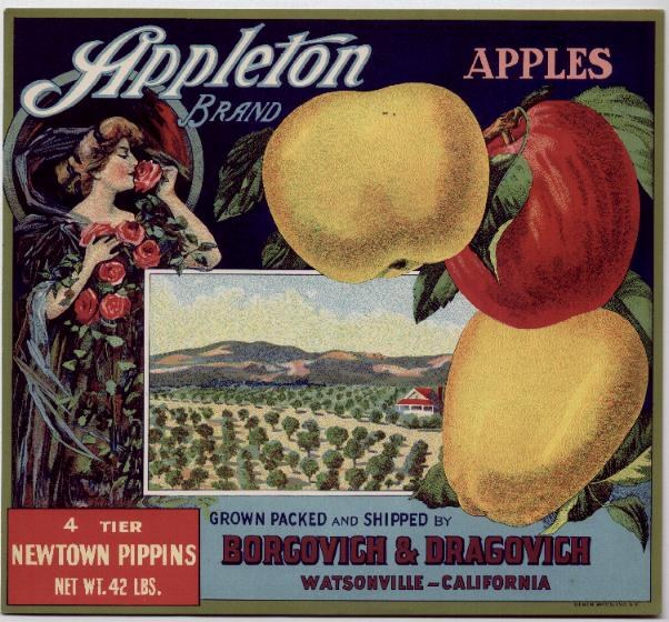 vintage-posters-signs-labels-adverts-1808