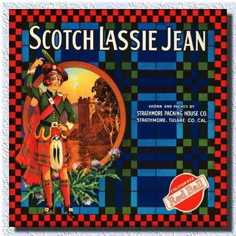 vintage-posters-signs-labels-adverts-2236