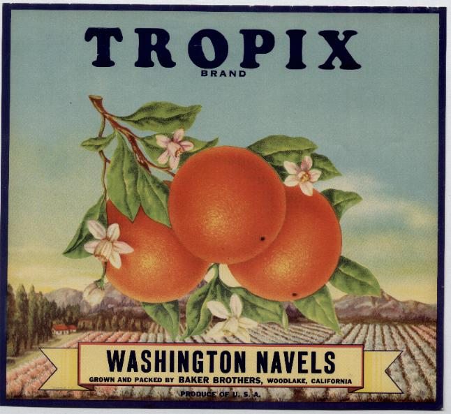 vintage-posters-signs-labels-adverts-2437