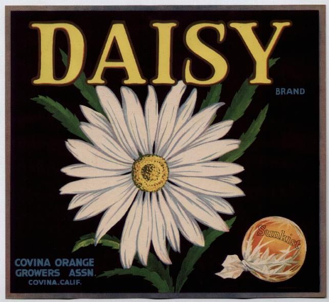 vintage-posters-signs-labels-adverts-2729
