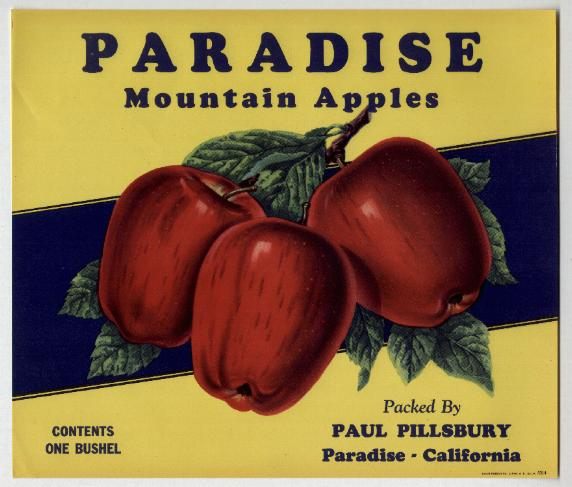 vintage-posters-signs-labels-adverts-3479