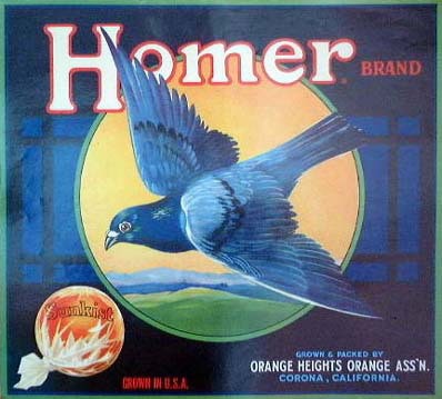 vintage-posters-signs-labels-adverts-3608