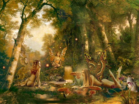 Faerie_wood_-_order_reprints