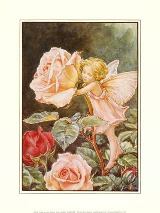 The-Rose-Fairy-Print-C10097217