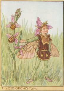 Vintage-Flower-Fairies008