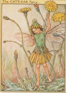 Vintage-Flower-Fairies020