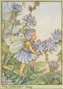 Vintage-Flower-Fairies023