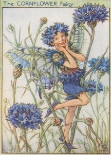 Vintage-Flower-Fairies027