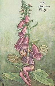Vintage-Flower-Fairies043