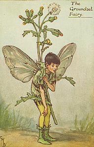 Vintage-Flower-Fairies052