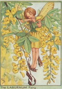 Vintage-Flower-Fairies069