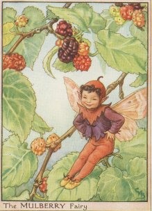 Vintage-Flower-Fairies082