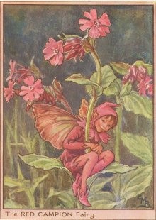 Vintage-Flower-Fairies102