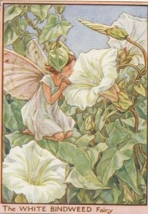 Vintage-Flower-Fairies143